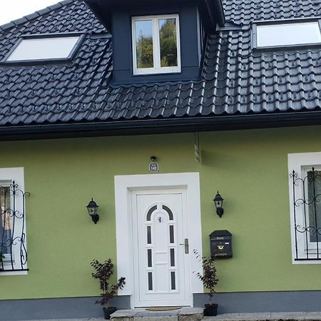 Ferienhaus "Platzhirsch" Hollenstein an der Ybbs Экстерьер фото